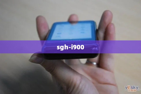 sgh-i900
