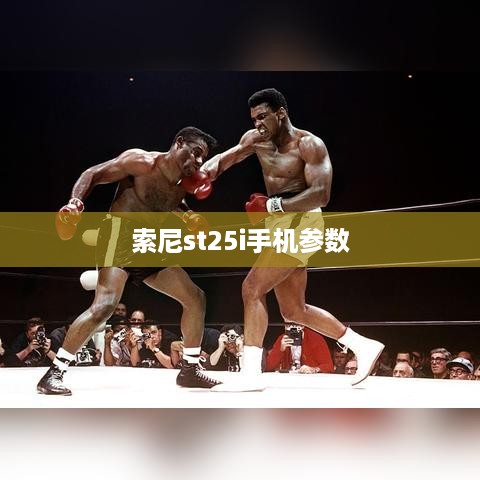 索尼st25i手机参数