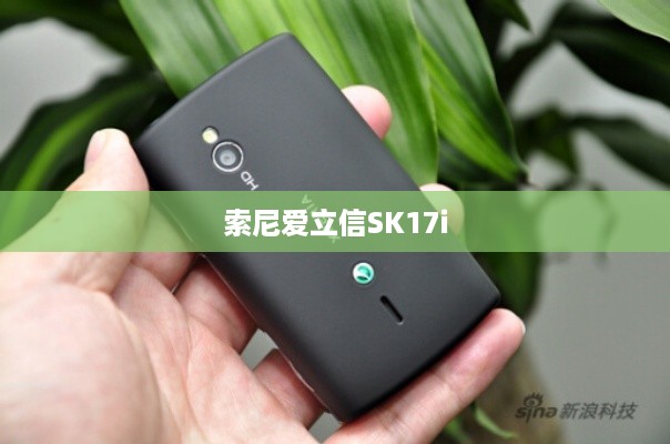 索尼爱立信SK17i  第1张