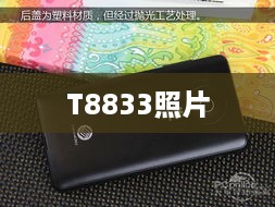 T8833照片