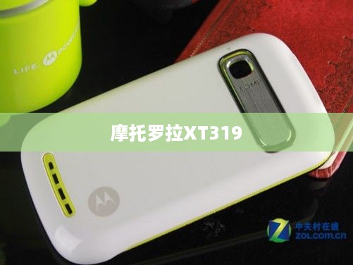 摩托罗拉XT319