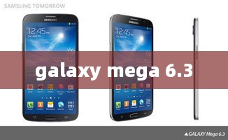 galaxy mega 6.3  第1张