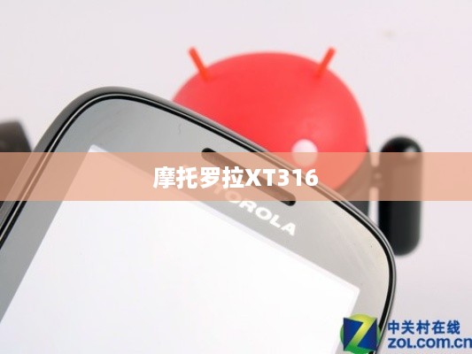 摩托罗拉XT316  第1张