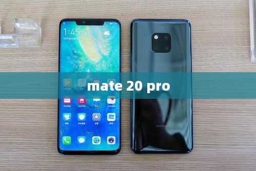 mate 20 pro  第1张