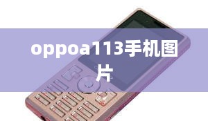 oppoa113手机图片