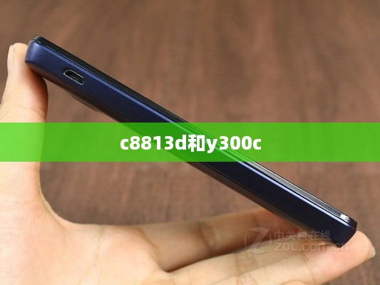 c8813d和y300c