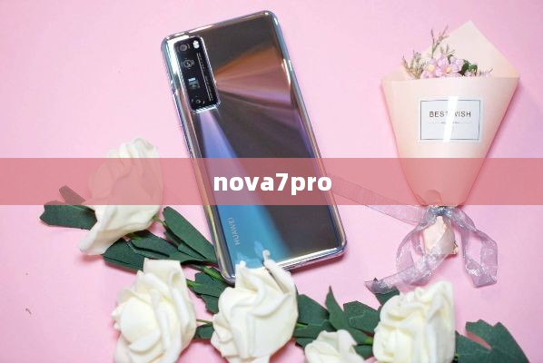 nova7pro  第1张