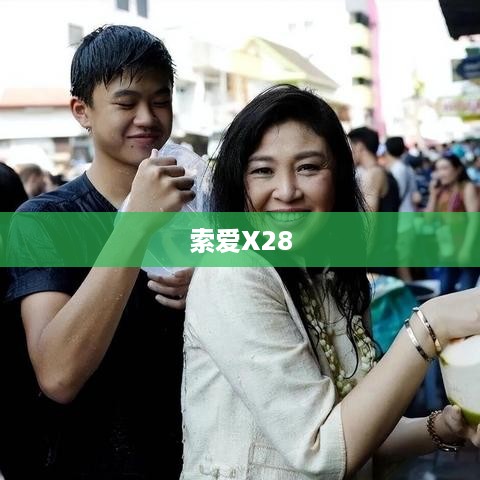 索爱X28  第1张