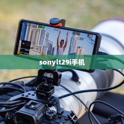 sonylt29i手机  第1张