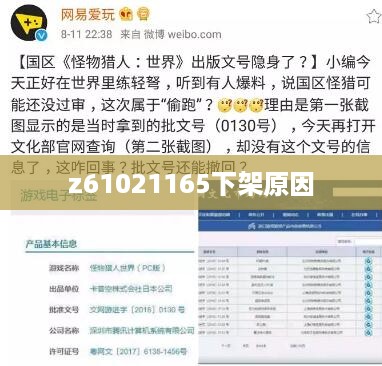 z61021165下架原因  第1张
