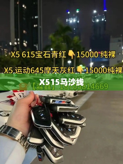 X515马沙线  第1张