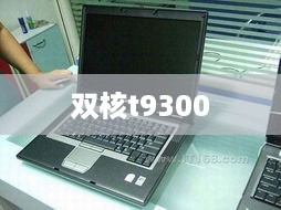 双核t9300