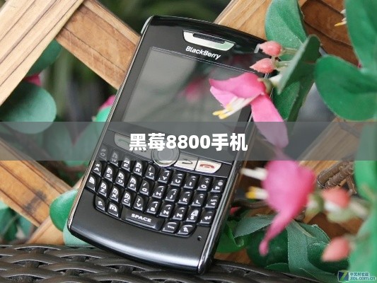 黑莓8800手机