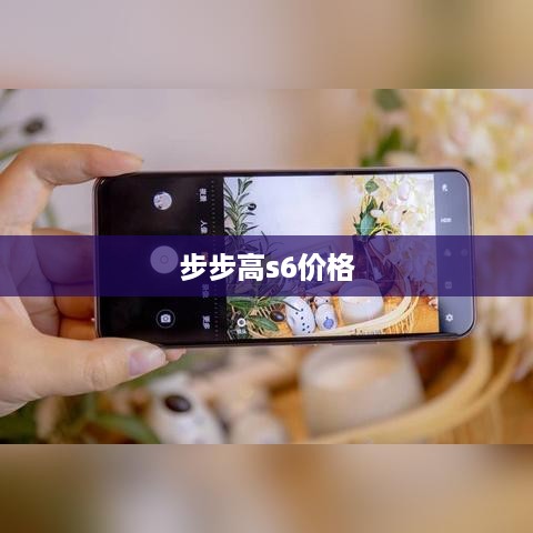 步步高s6价格  第1张