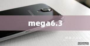 mega6.3  第1张