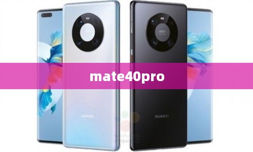 mate40pro