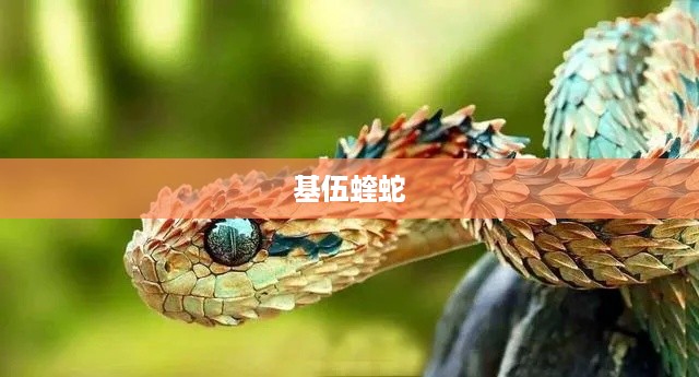 基伍蝰蛇  第1张