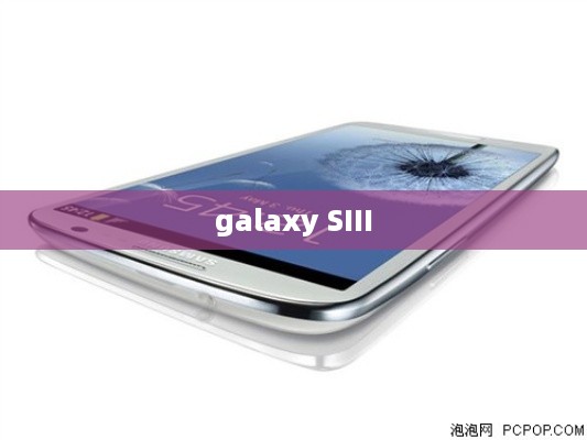 galaxy SIII  第1张