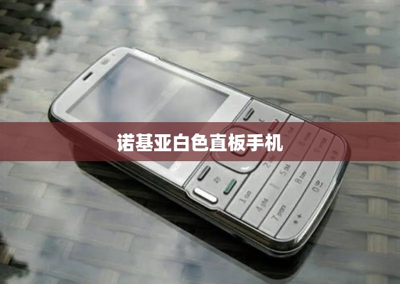 诺基亚白色直板手机  第1张