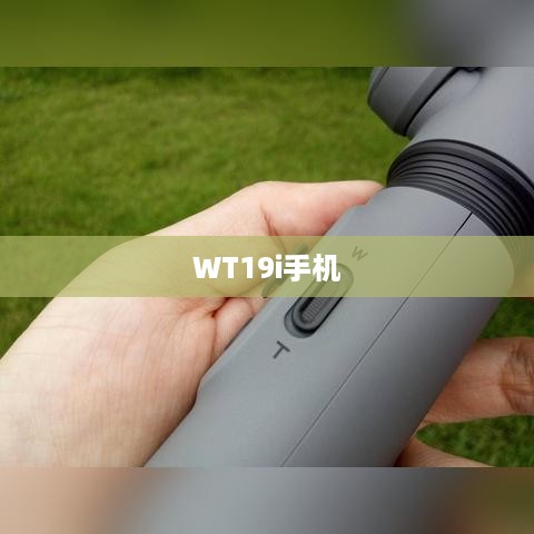 WT19i手机