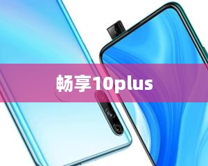 畅享10plus  第1张