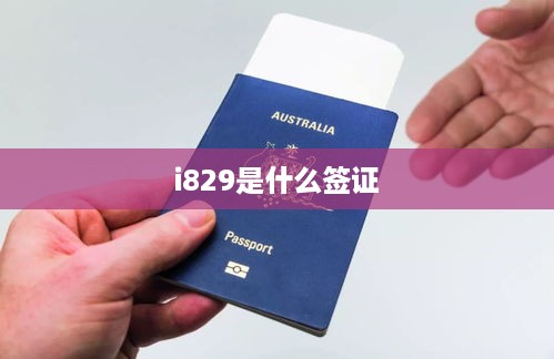 i829是什么签证