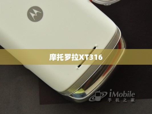 摩托罗拉XT316