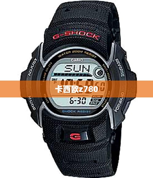 卡西欧z780  第1张