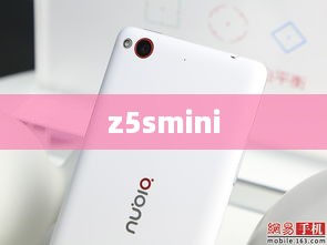 z5smini  第1张