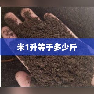 米1升等于多少斤