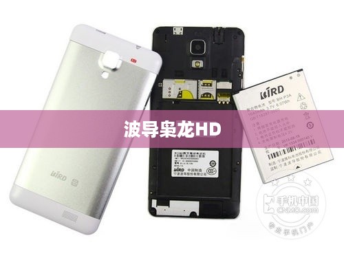 波导枭龙HD