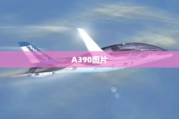 A390图片