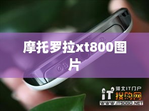 摩托罗拉xt800图片
