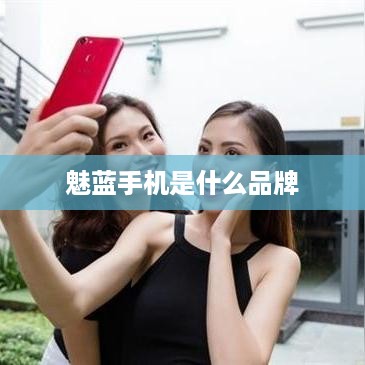 魅蓝手机是什么品牌