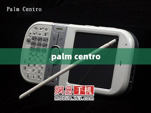 palm centro