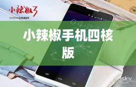 小辣椒手机四核版