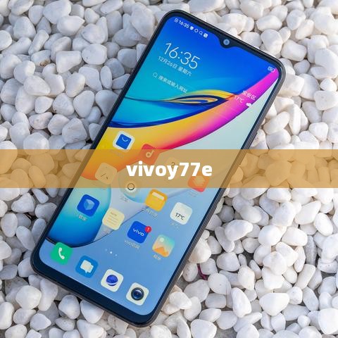 vivoy77e