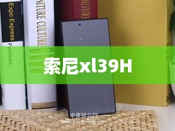 索尼xl39H