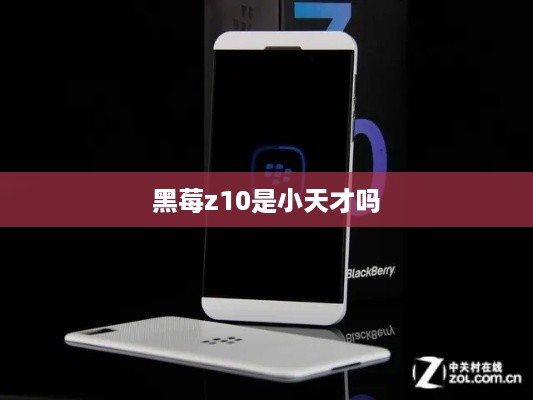 黑莓z10是小天才吗