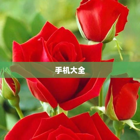 手机大全