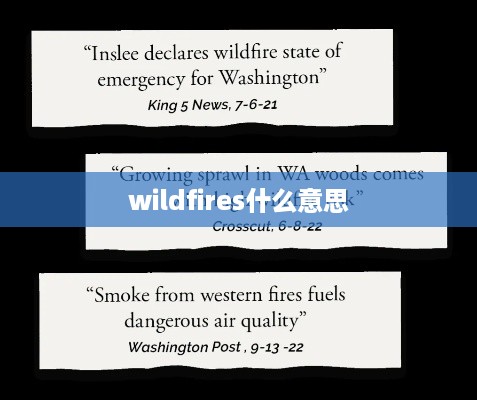 wildfires什么意思  第1张