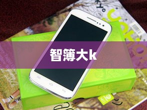 智簿大k
