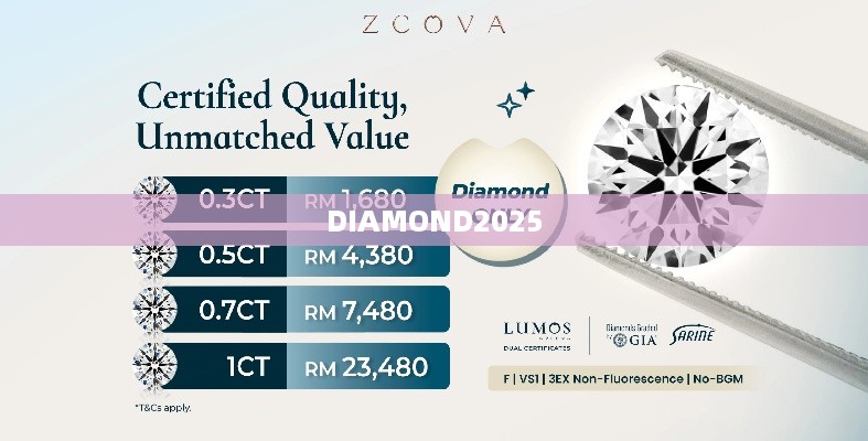 DIAMOND2025  第1张