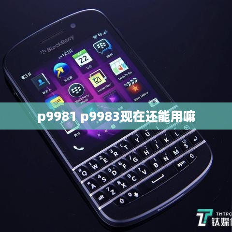 p9981 p9983现在还能用嘛