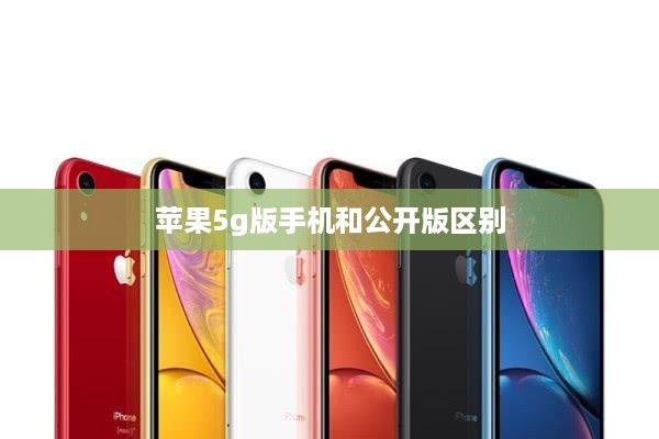 苹果5g版手机和公开版区别