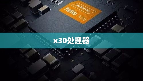x30处理器