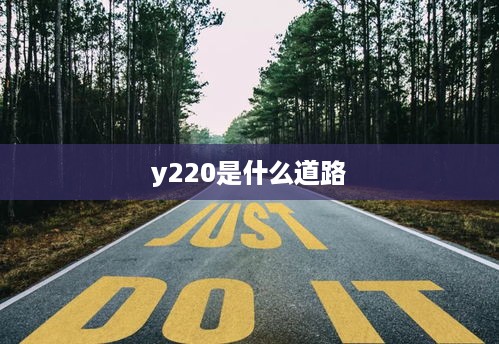 y220是什么道路