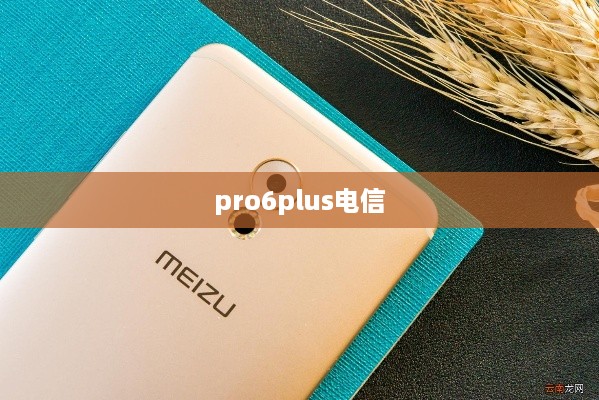 pro6plus电信