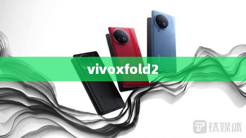 vivoxfold2