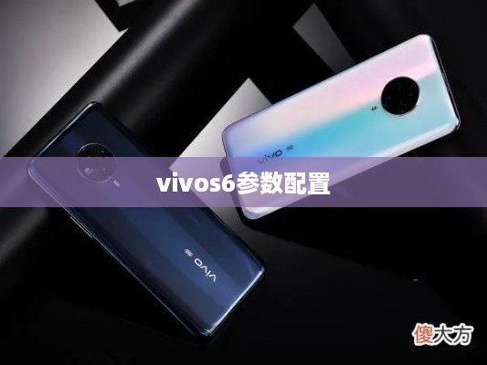 vivos6参数配置